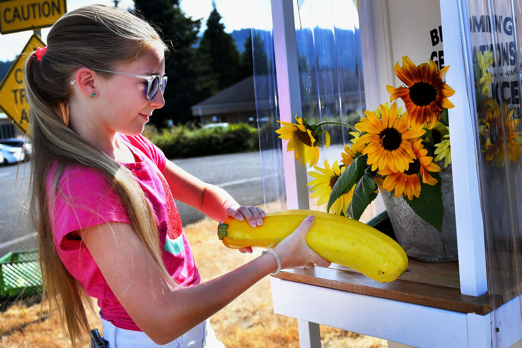 Castle Rock garden adds free produce stand